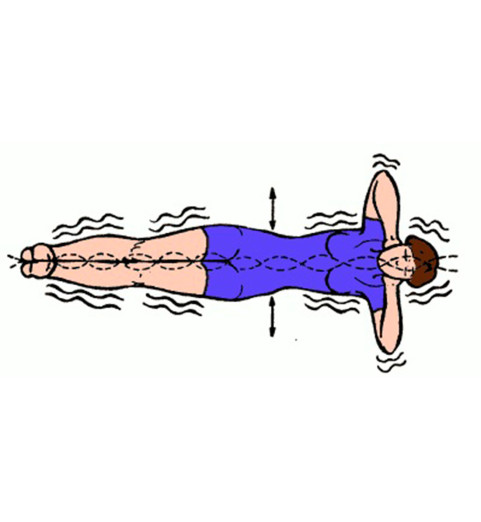 Тренажер для спины Healthy Spine Тренажер для спины Healthy Spine